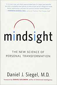 Mindsight